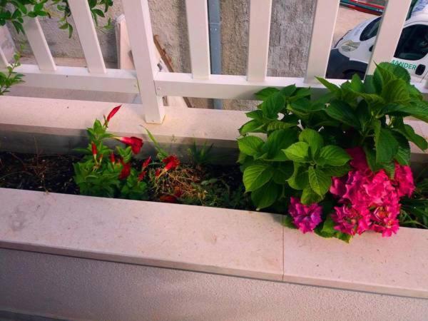 Kurilj Apartament